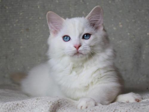 24173150_10210220254919363_6952540306010076991_o