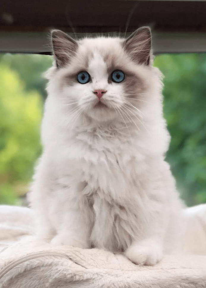 37BFCD24-45CE-47D3-824E-7569D4E5603F