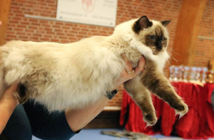 47094279_531114950695484_2500742968634245120_n