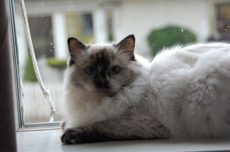 81376129_515742705708903_4529502725456527360_n