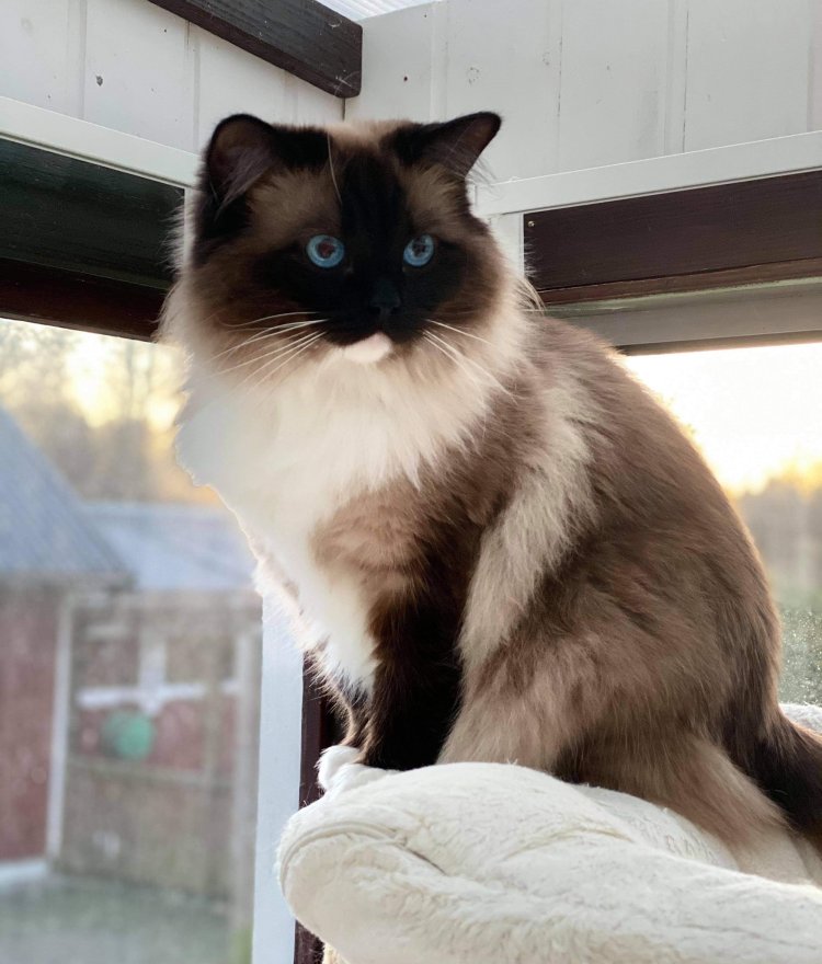 156870951_2758556351164283_5933440760582850534_o