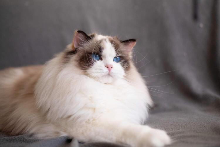 272218026_685234889524806_6763556717673015915_n